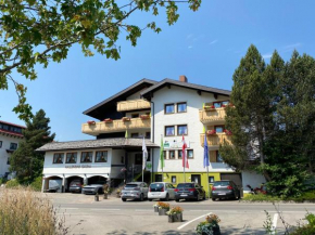  Hotel Alpensonne  Рицлерн